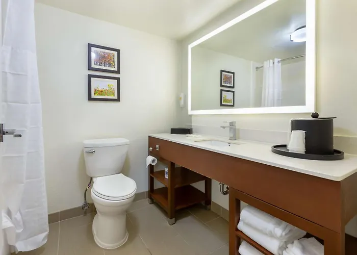 Hotel Comfort Hanes Mall